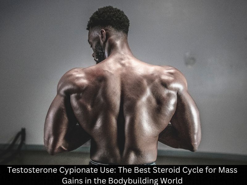 Testosterone Cypionate Use: The Best Steroid Cycle for Mass Gains in the Bodybuilding World