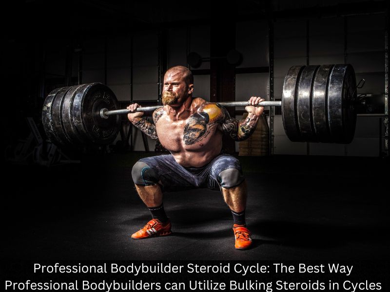 Professional Bodybuilder Steroid Cycle: The Best Way Professional Bodybuilders can Utilize Bulking Steroids in Cycles