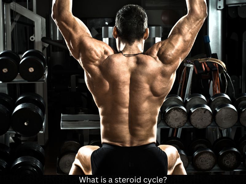 steroids8