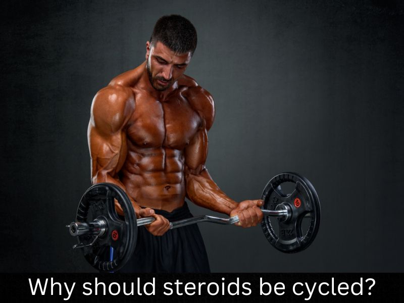 steroids2